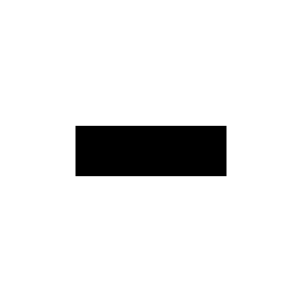 Initial state of a simple cellular automata